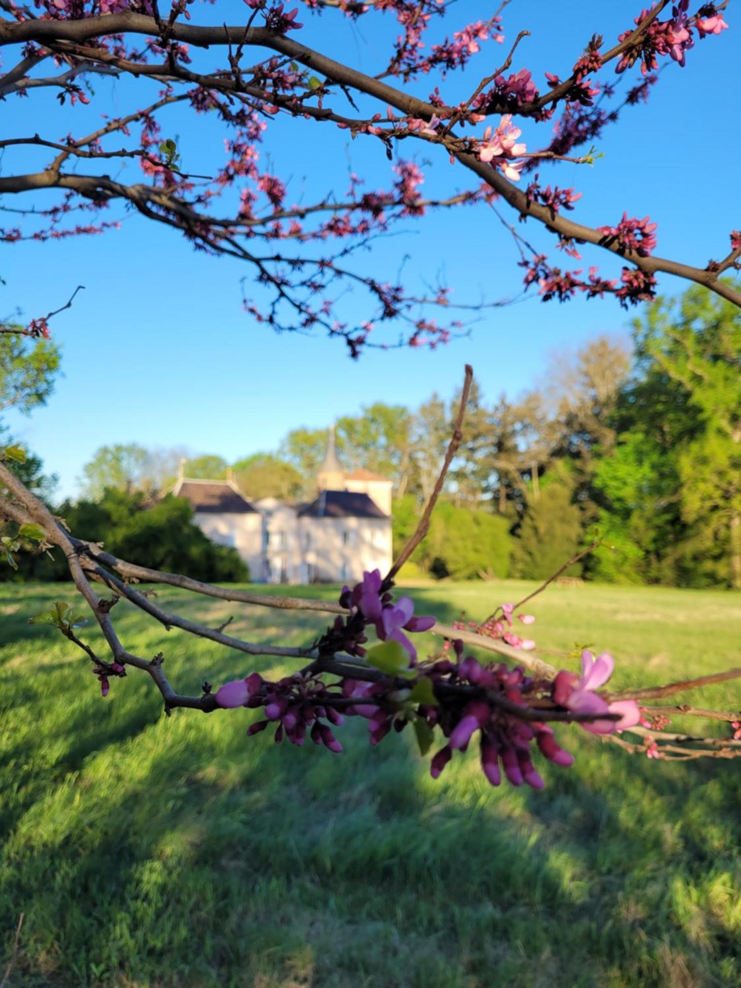 L'Ancre Vive Bed & Breakfast Charentay Екстериор снимка