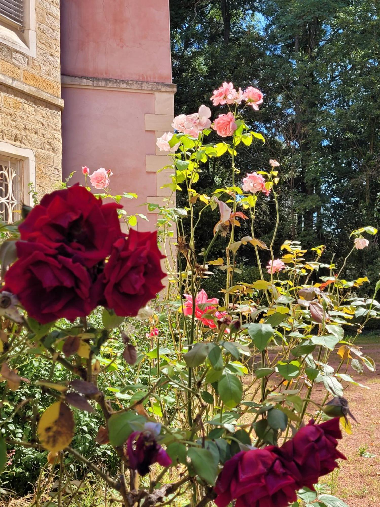 L'Ancre Vive Bed & Breakfast Charentay Екстериор снимка